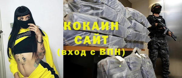 дживик Абинск